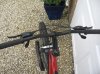 IMG_8599.jpg