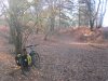 Ride to Haslmere in the cold lat nov 2023 002.JPG
