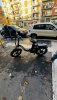 IMG_3398.jpeg