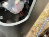 IMG_3139.jpeg