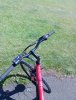 IMG_20250629_122946.jpg