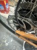 IMG_4450.jpeg