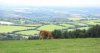 Exmoor View Small.jpg