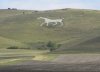 Alton Barnes White Horse Small.jpg