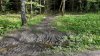 trailhead.jpg