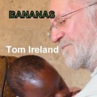 timidtom