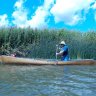 Paddler