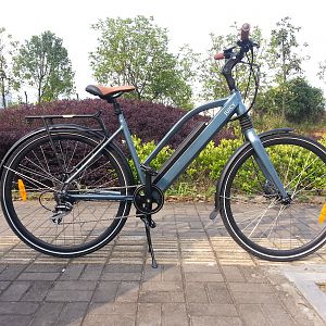 Roadie - first production run bike