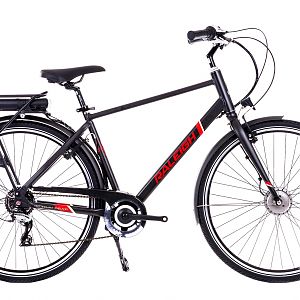 Raleigh Array Crossbar black electric bike