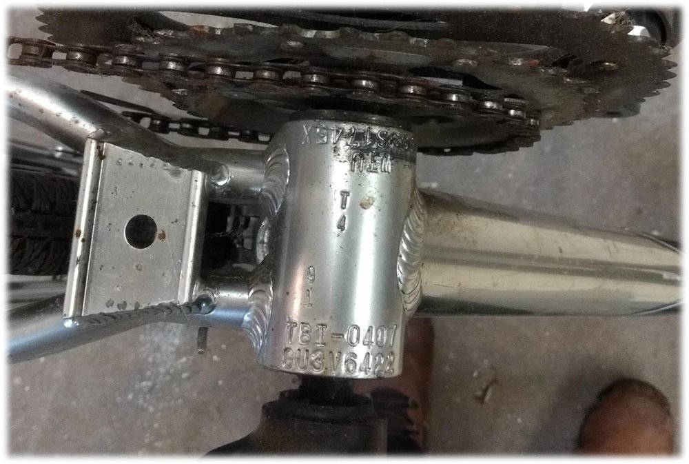 Bike1.thumb.jpg.aaf4cf7bdc5e668e7a0fb7db8a1b58f4.jpg