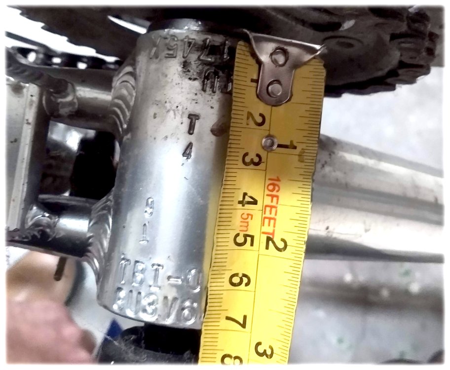 Bike2.thumb.jpg.29771ea6a064c7b8c4e6a3458324085f.jpg