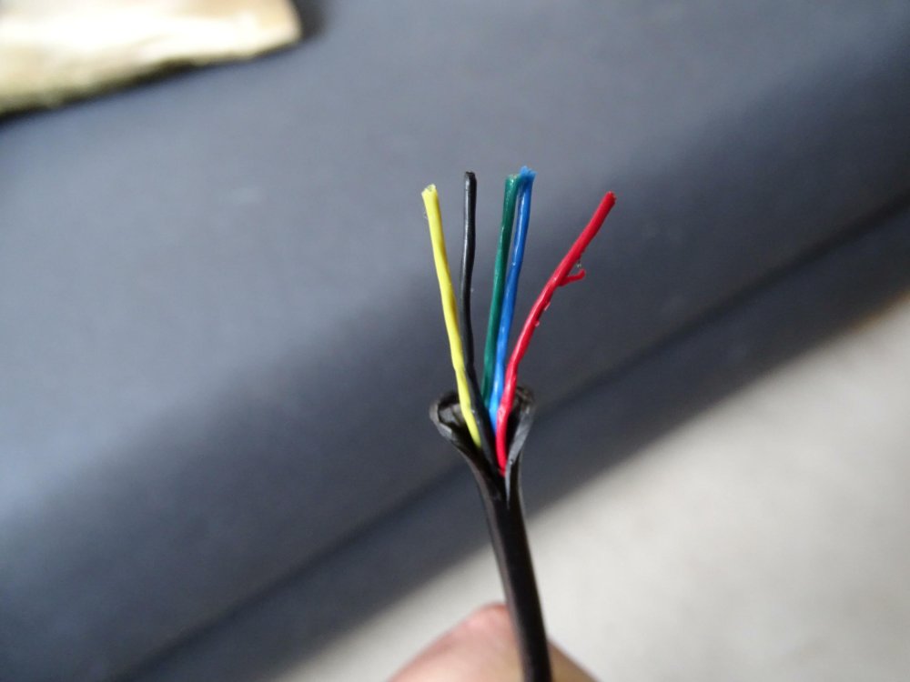 DSC00121.cleaned.thumb.JPG.14922766dd49c32e318a32183cbc5578.JPG