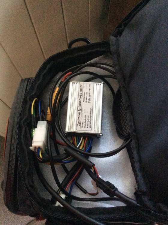 FDA7B474-02D7-4148-BDC2-E1A4510A0E1D.thumb.jpeg.ae8b548261f0a2c9125bae906f3a57ec.jpeg