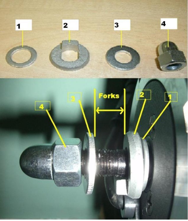 GEDC0309.thumb.jpg.66acd74c6fd8037cce0d3c63031be09a.jpg