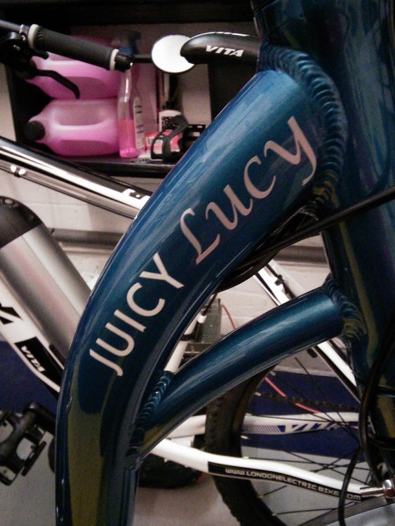 JuicyLucyLabel.thumb.jpg.08f997e39ec897dff6172fc5eba6e3df.jpg