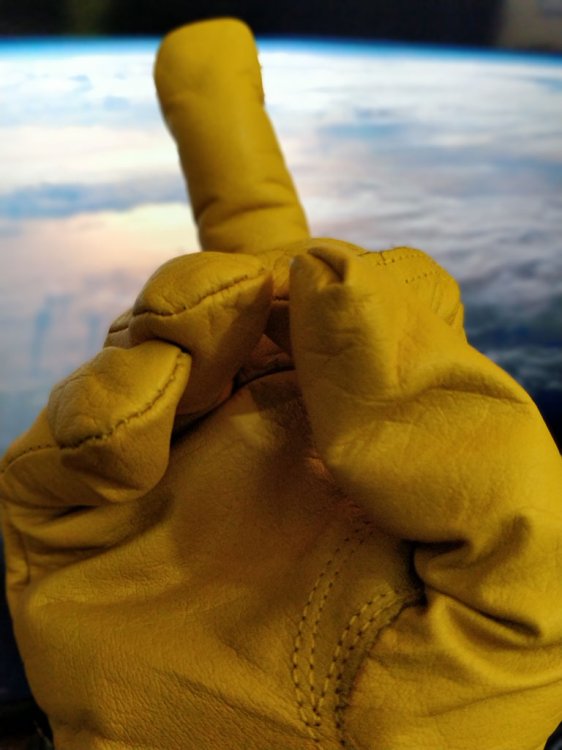 Portwest-driver-greeting.thumb.jpg.56a86723eef29f4ba66827c81d05eeb8.jpg
