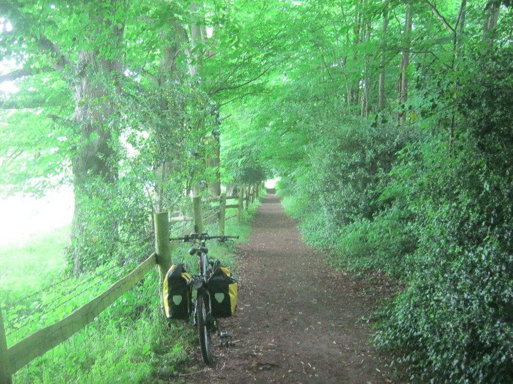RidetoworkBeechavenue8618004.thumb.JPG.6386507798e24f68ab1ddcb785438378.JPG