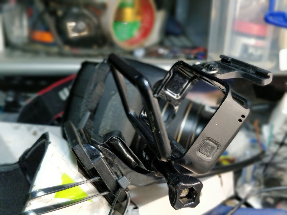 gopro-chinguard-mount-IMG_20248760522_173455_Bokeh.thumb.jpg.c364767ffc0df2fec948338f4f5b29ac.jpg