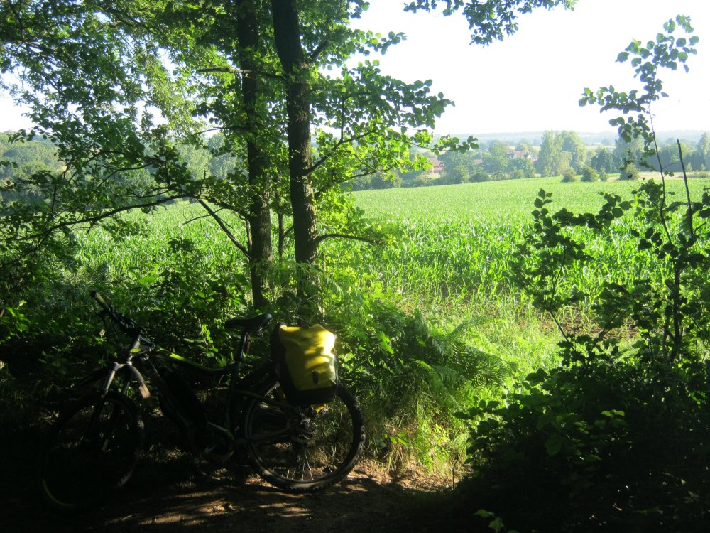 ridetoworkpanniercrash003.thumb.JPG.a4af9583eca1840cb02b2d328e867988.JPG