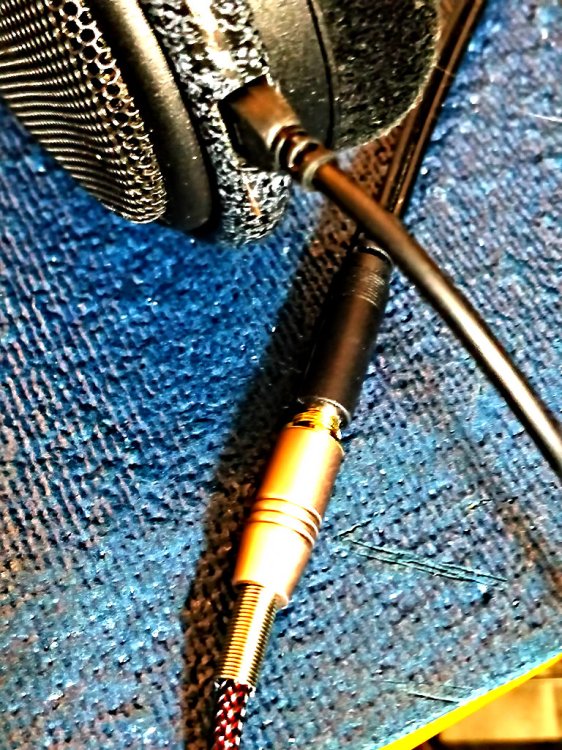 sennheiser-jack.thumb.jpg.47dd67140b4f1beaef7ddd09bb15c320.jpg