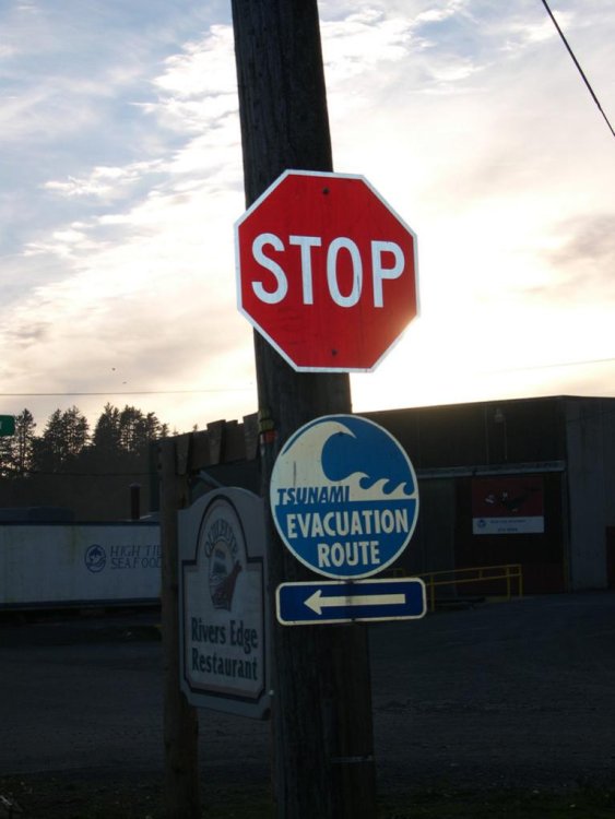stop_tsunami.thumb.jpg.06527e894a6a541a5e08f0d4895b8ca3.jpg