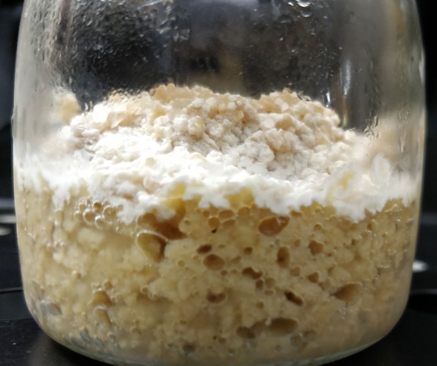 vitamin-k2-rick-natto-tvp.thumb.jpg.68d2e242cb4c8c9f6cb11c25f64b0e20.jpg