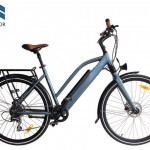 Juicy Roller e-bike